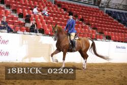 18BUCK_02202 proof