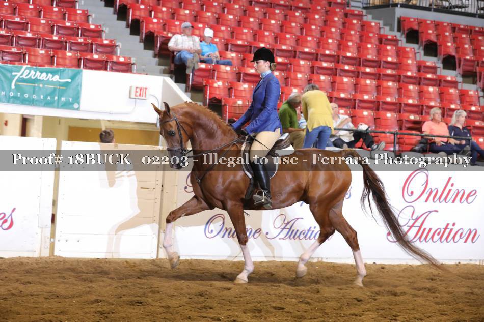 Proof 18BUCK_02203