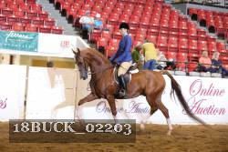 18BUCK_02203 proof