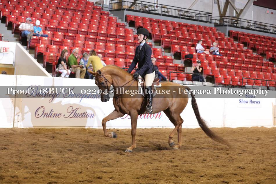 Proof 18BUCK_02204