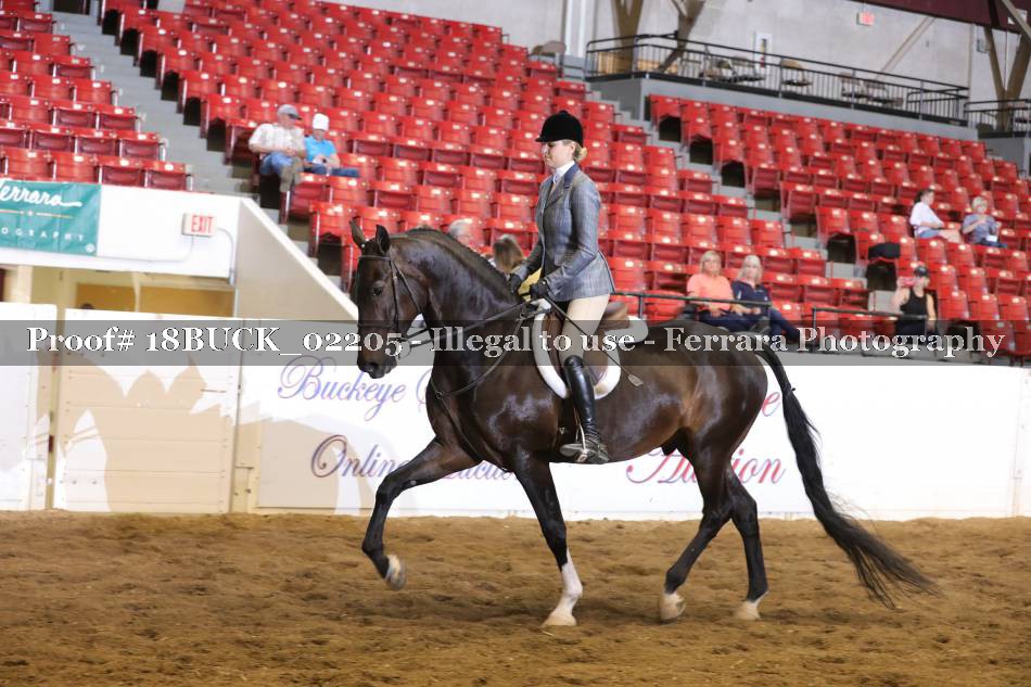 Proof 18BUCK_02205