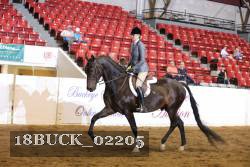 18BUCK_02205 proof