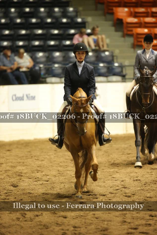Proof 18BUCK_02206
