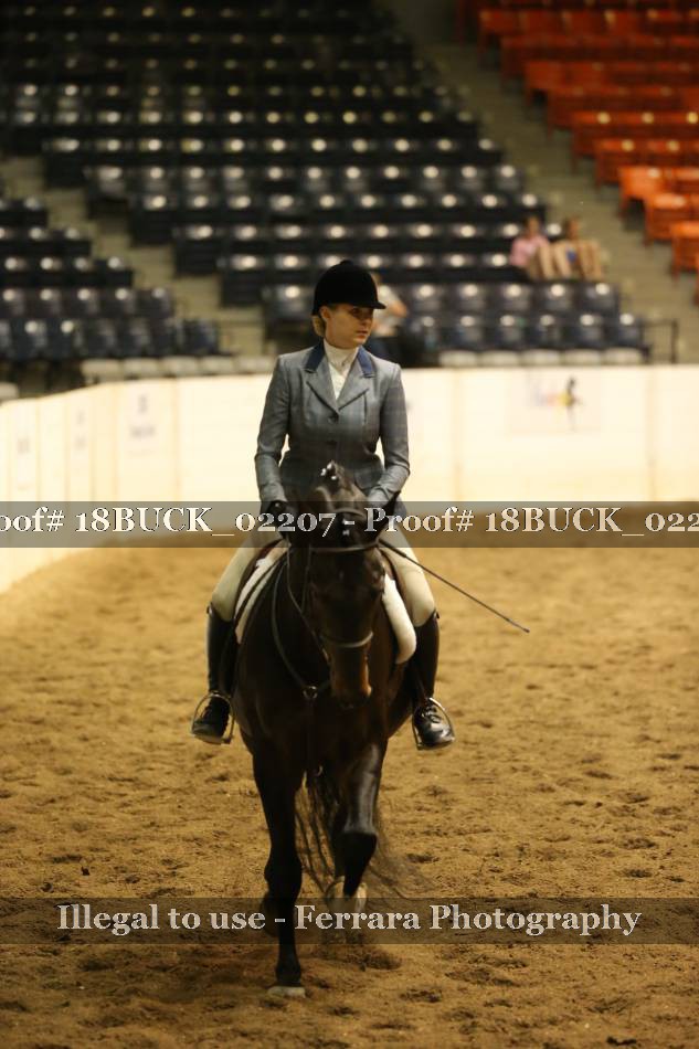 Proof 18BUCK_02207