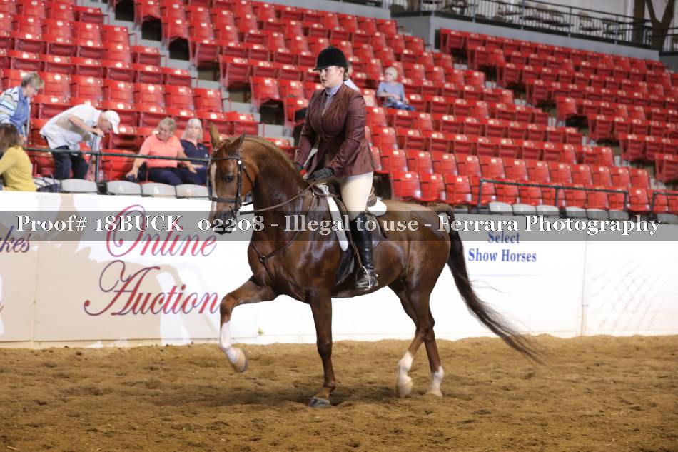 Proof 18BUCK_02208