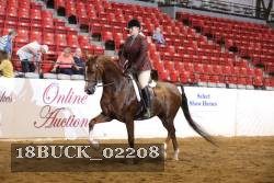 18BUCK_02208 proof