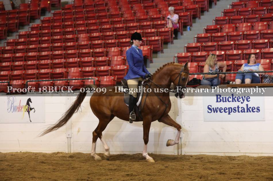 Proof 18BUCK_02209