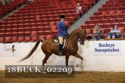 18BUCK_02209 proof