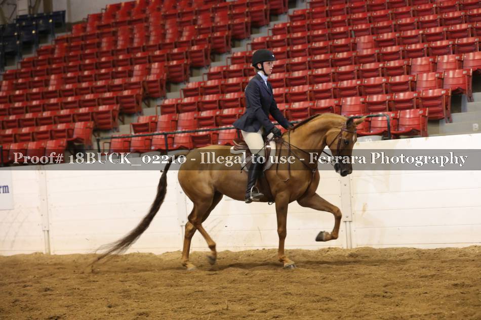 Proof 18BUCK_02210