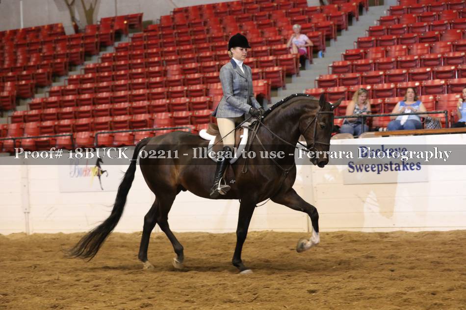 Proof 18BUCK_02211