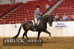 18BUCK_02211 proof