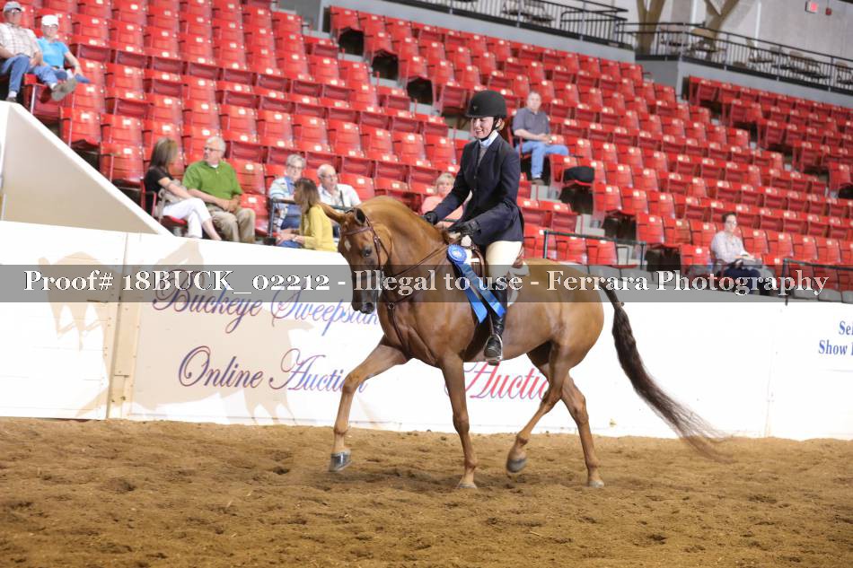 Proof 18BUCK_02212