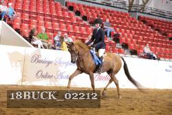 18BUCK_02212 proof