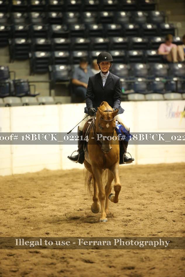 Proof 18BUCK_02214