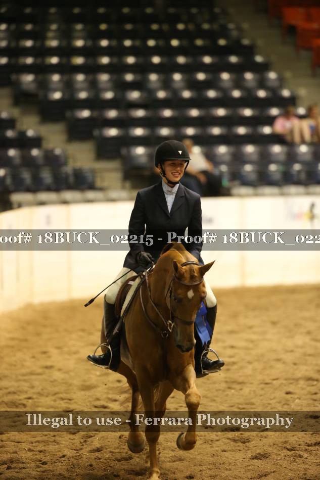 Proof 18BUCK_02215