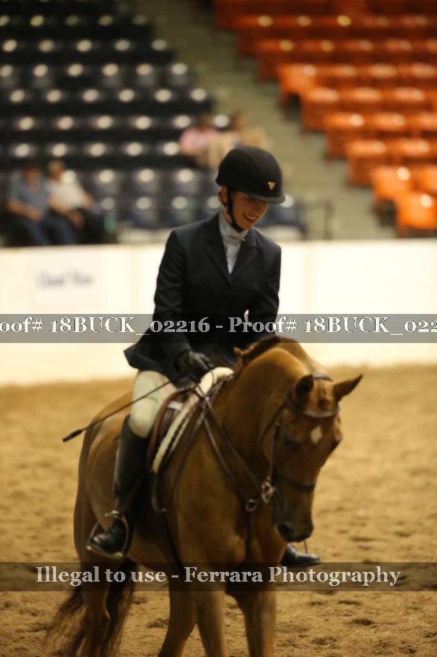 Proof 18BUCK_02216