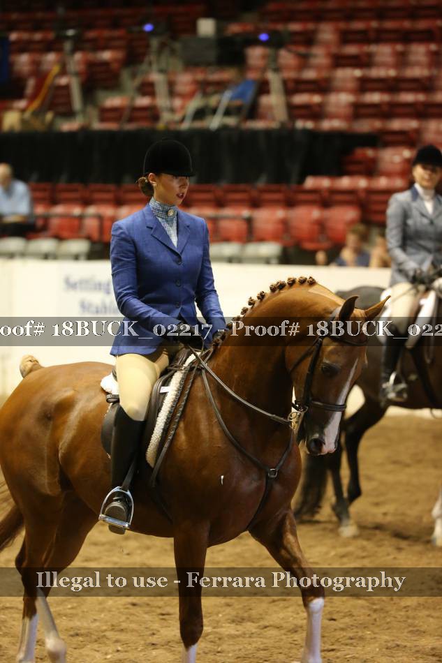 Proof 18BUCK_02217