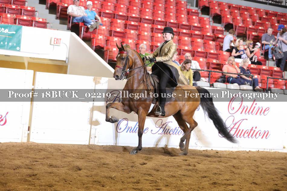Proof 18BUCK_02219