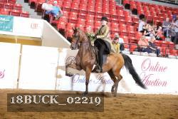 18BUCK_02219 proof