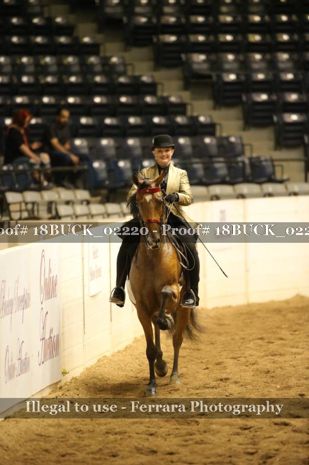 Proof 18BUCK_02220
