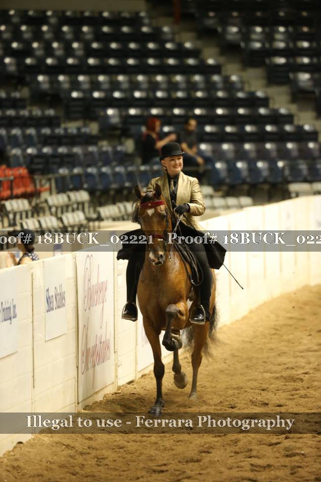 Proof 18BUCK_02221