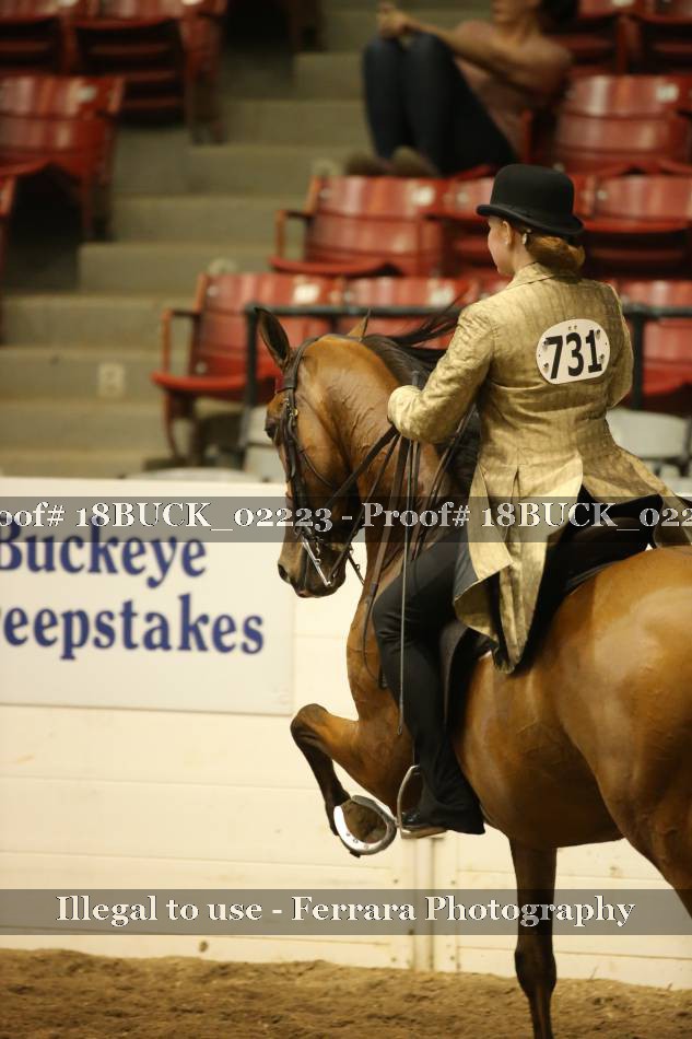Proof 18BUCK_02223