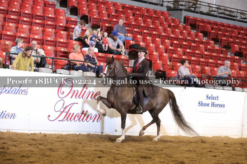 Proof 18BUCK_02224
