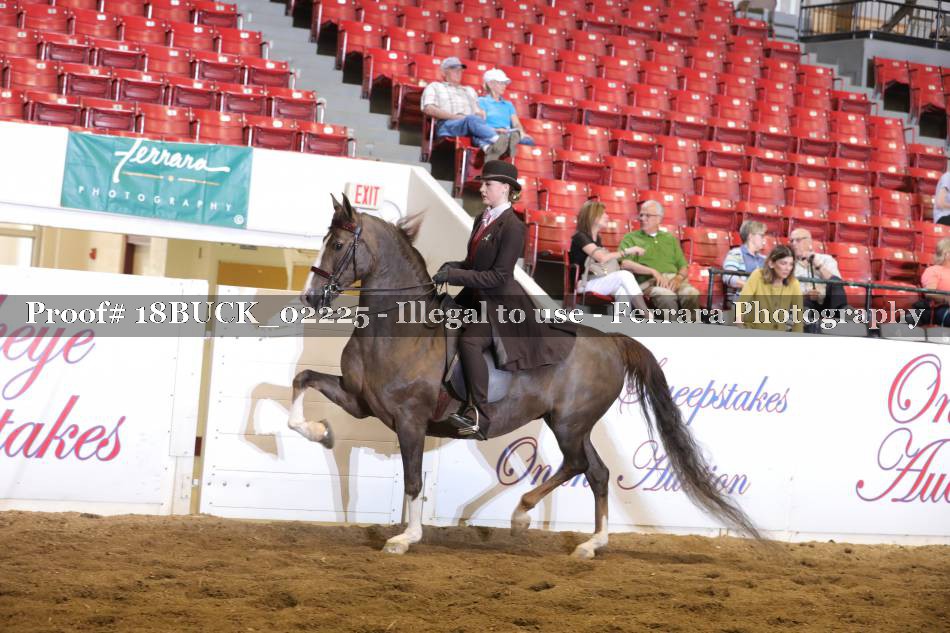 Proof 18BUCK_02225