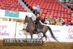18BUCK_02225 proof