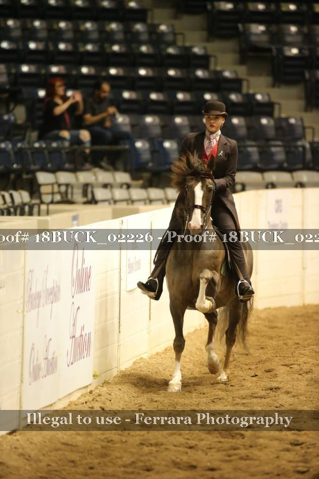 Proof 18BUCK_02226