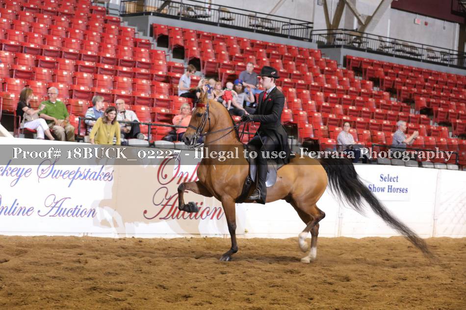 Proof 18BUCK_02227