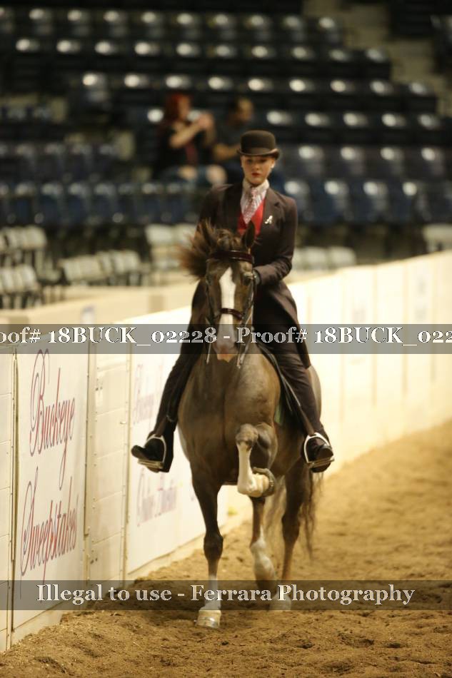 Proof 18BUCK_02228