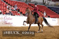 18BUCK_02229 proof