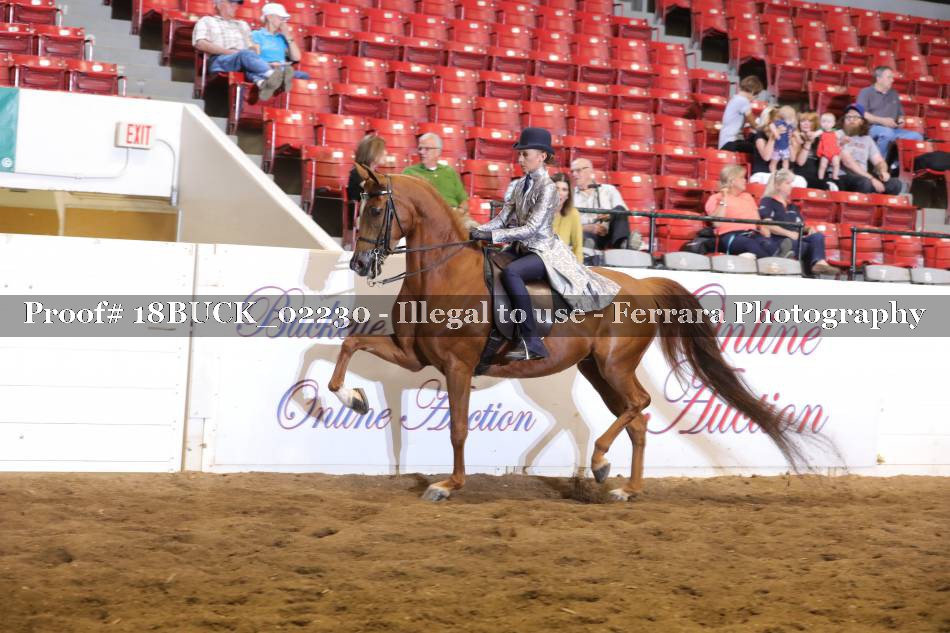 Proof 18BUCK_02230
