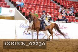 18BUCK_02230 proof
