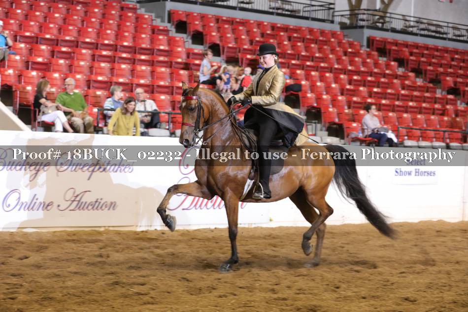 Proof 18BUCK_02232