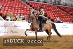 18BUCK_02232 proof
