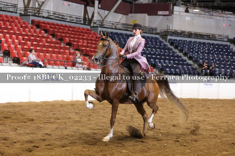 Proof 18BUCK_02233