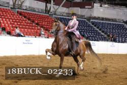 18BUCK_02233 proof
