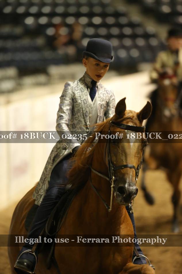 Proof 18BUCK_02235