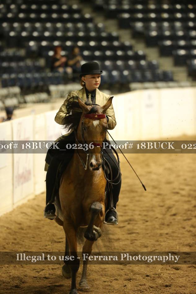 Proof 18BUCK_02236