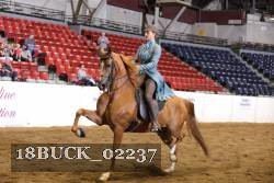 18BUCK_02237 proof
