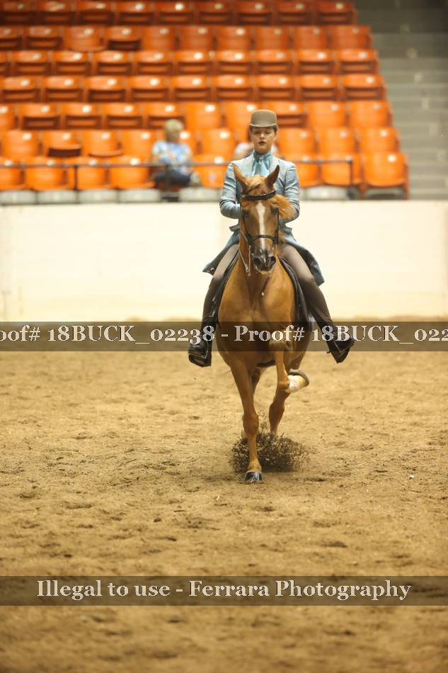 Proof 18BUCK_02238