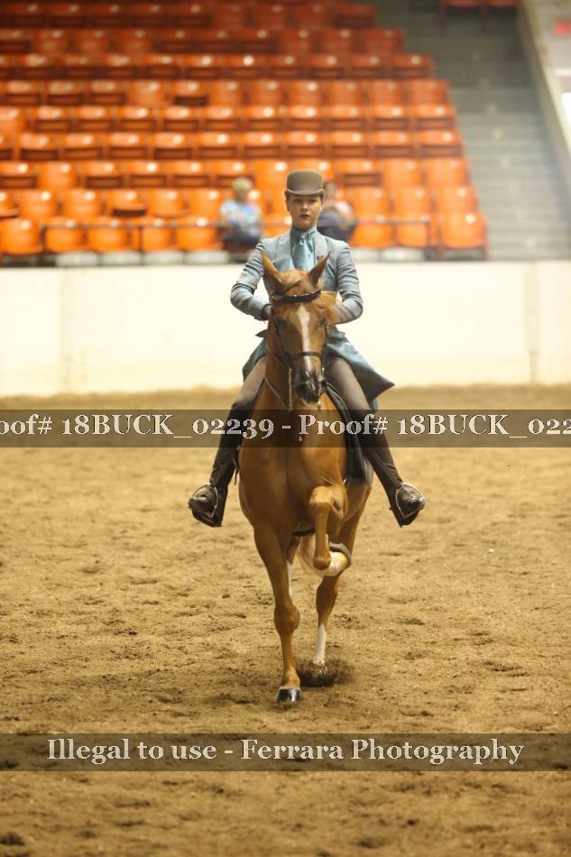 Proof 18BUCK_02239