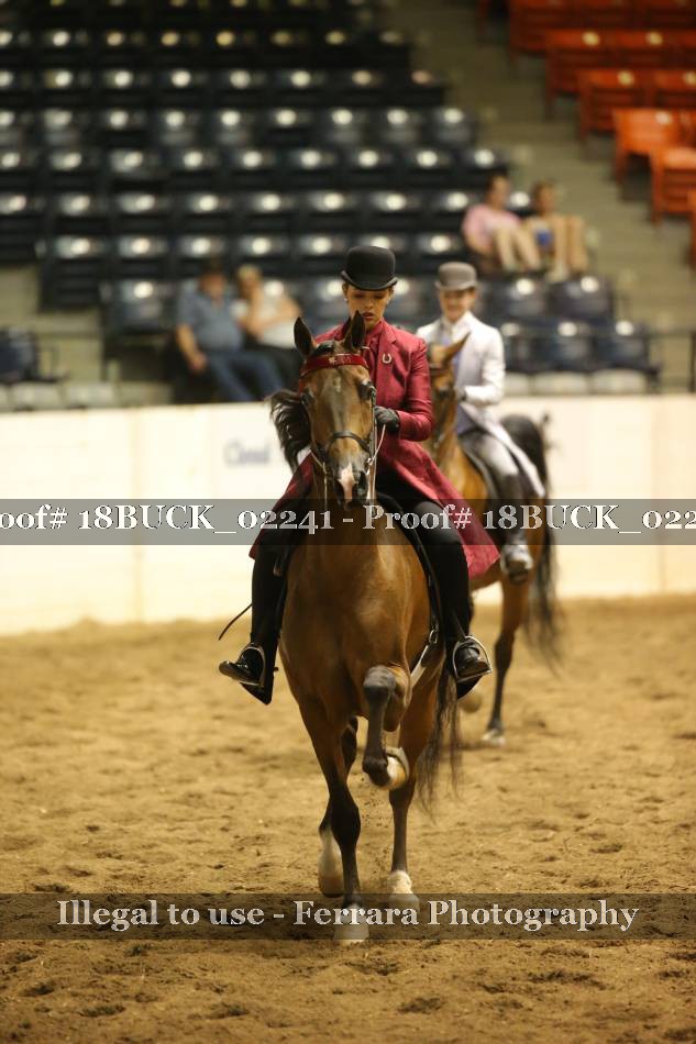 Proof 18BUCK_02241