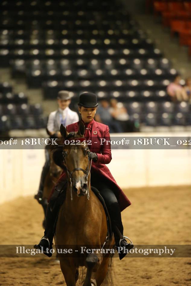 Proof 18BUCK_02242