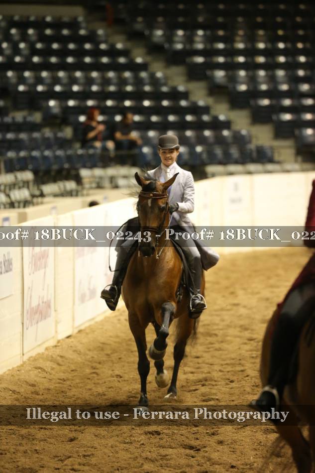 Proof 18BUCK_02243