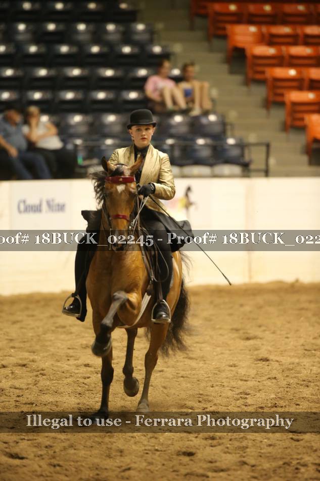 Proof 18BUCK_02245
