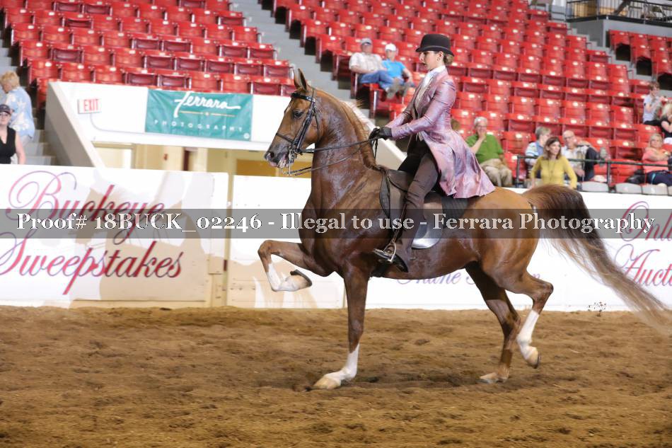 Proof 18BUCK_02246