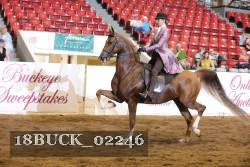 18BUCK_02246 proof